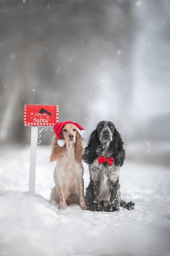 Photograph by Валентина Князева