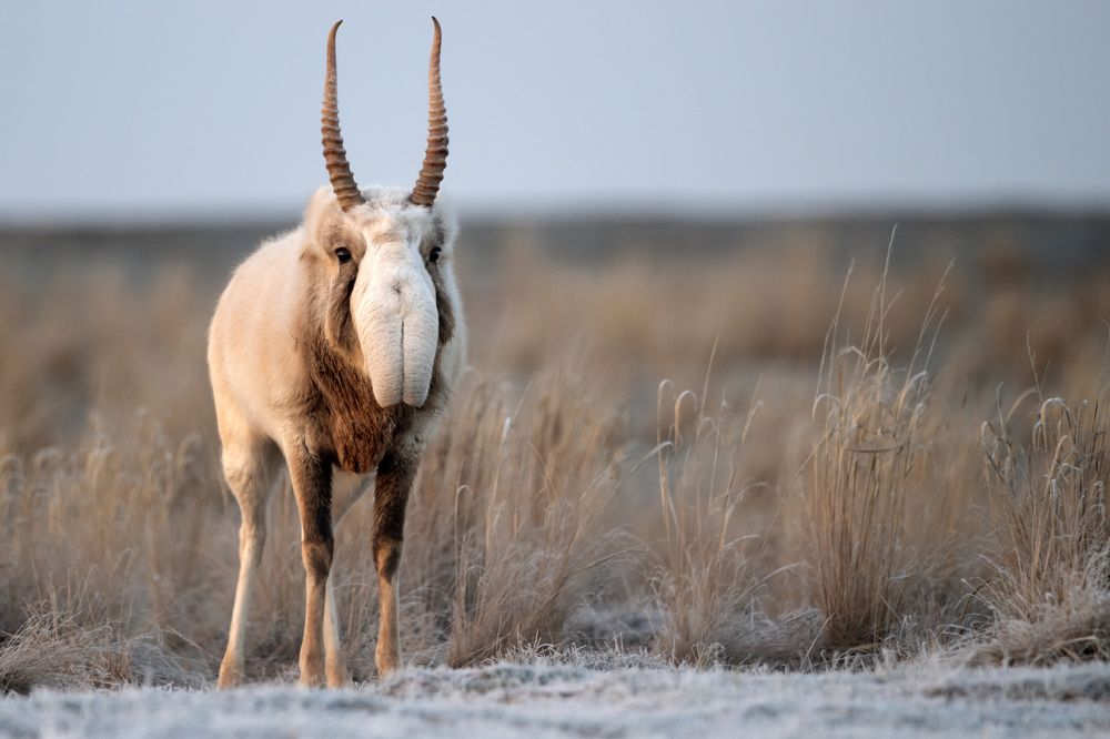 Фотография автора Яков Осканов