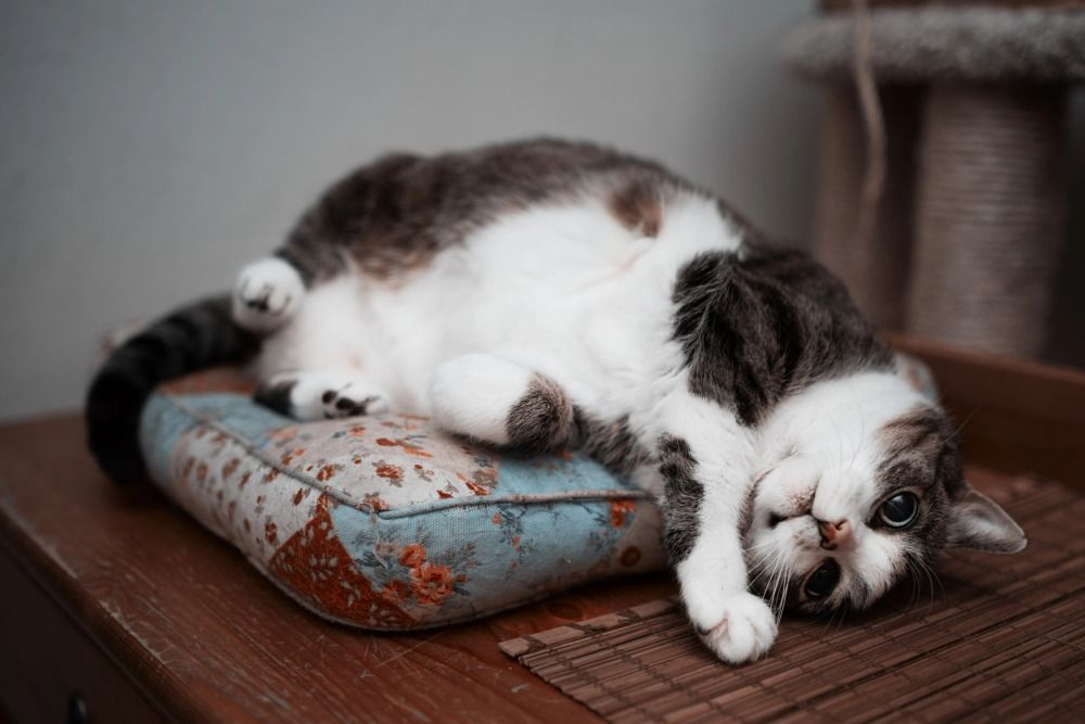 Photograph by Kirill Yakowlew