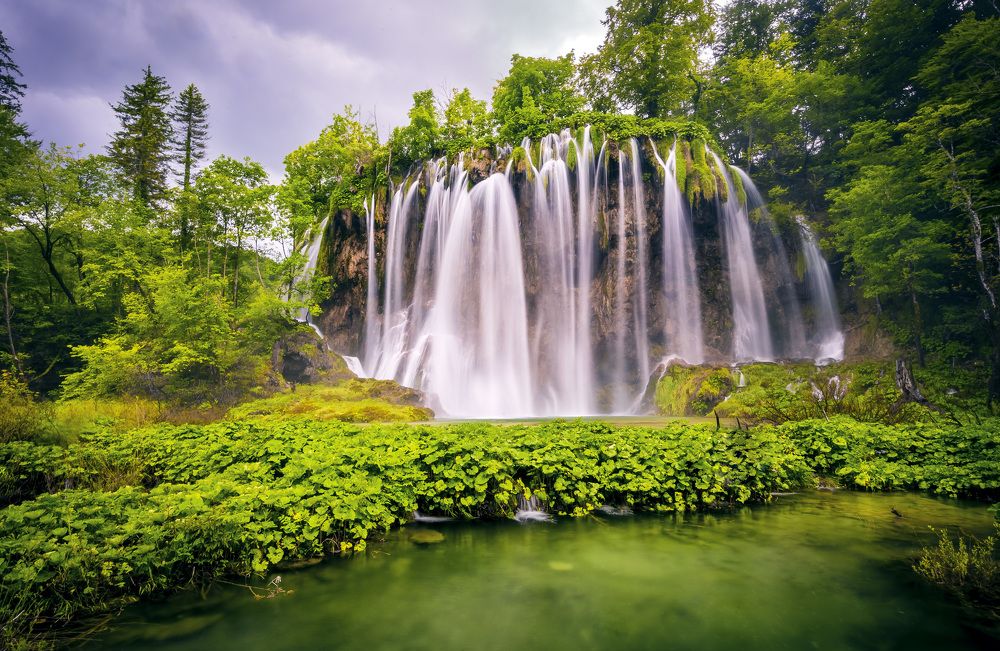 A pieche of Paradise