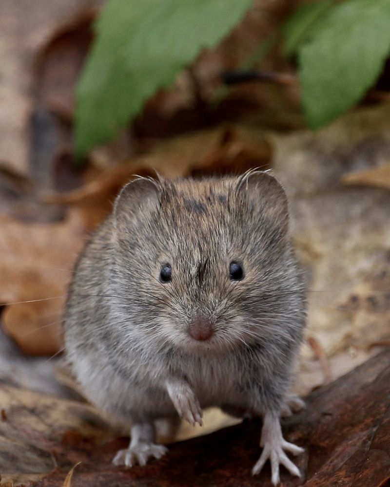 Photograph by Александр Затямин