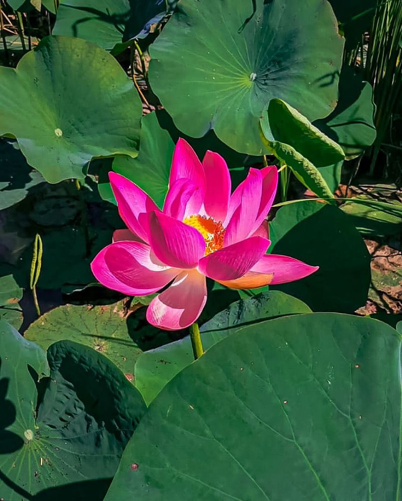 Фотография автора Илья