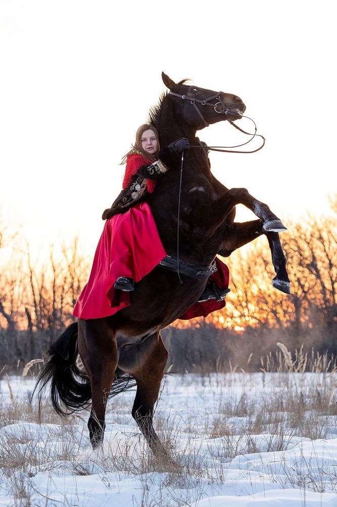 Фотография автора Елена Гордиевская