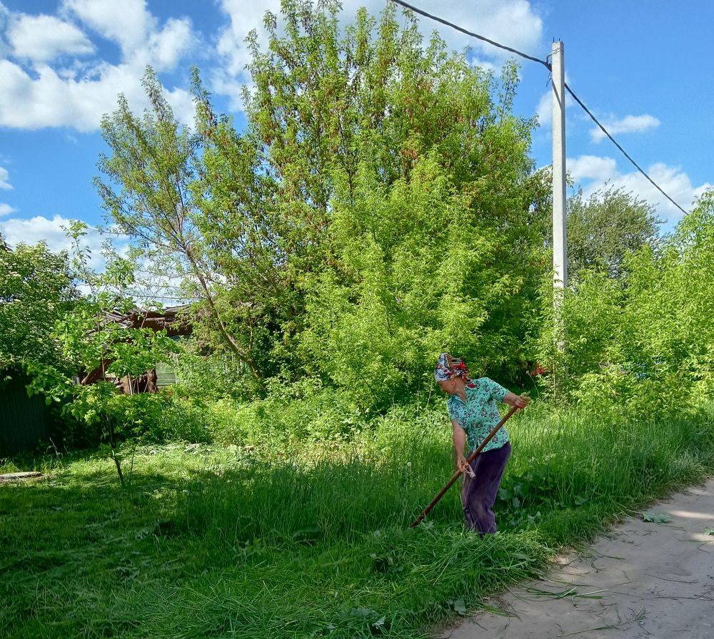 Photograph by Марина Разина