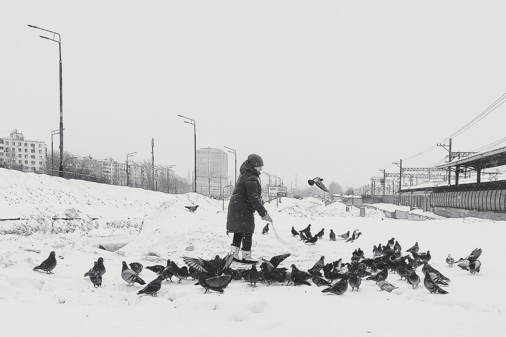 Фотография автора Елена Кириллова