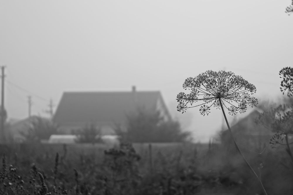 Photograph by Маргарита