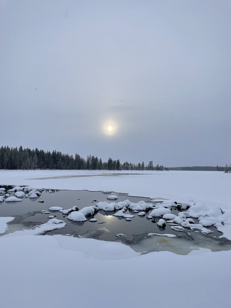 Photograph by Алина Сущинская