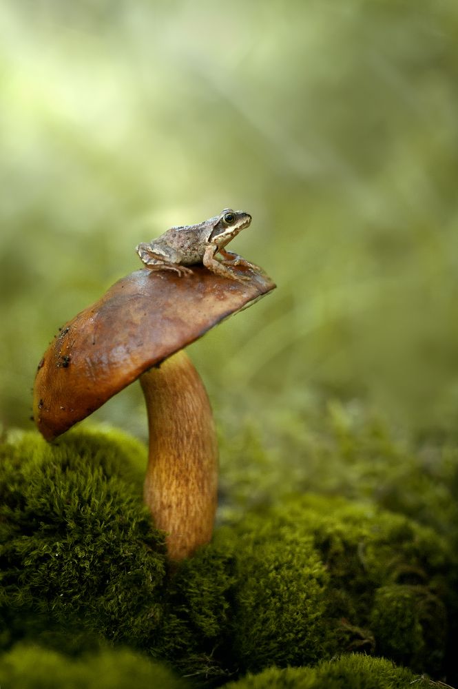 Photograph by Громова Анна