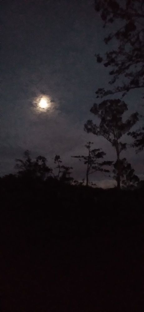 Photo #10415220