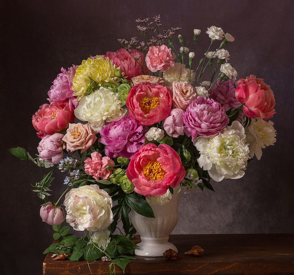 Фотография автора Алина Ланкина