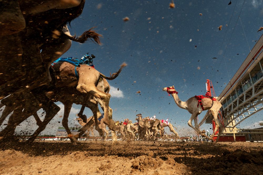 Photograph by Shyjith Onden Cheriyath