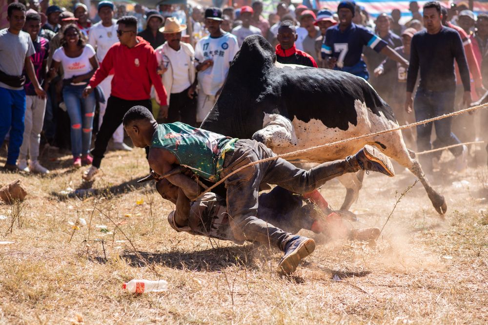 Photograph by Danielson Rado