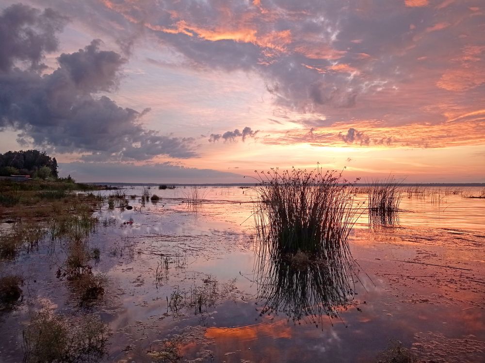 Photograph by Кухта Мария