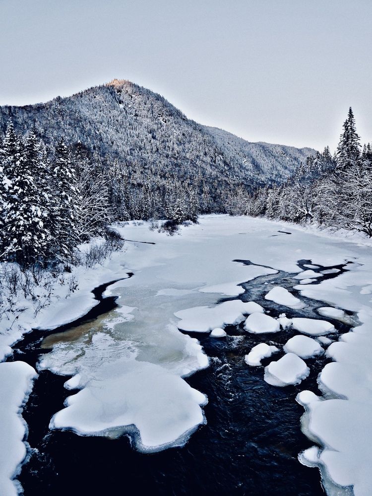 Photograph by Annie Trudel