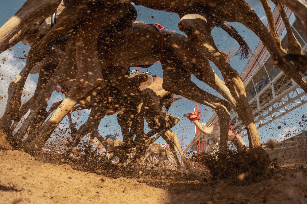 Photograph by Shyjith Onden Cheriyath