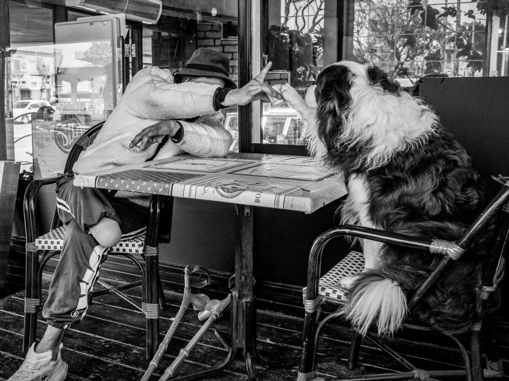 Photograph by Semion Ribinik