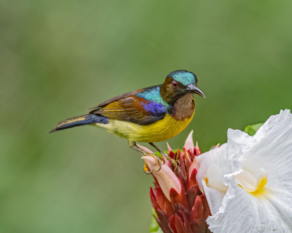 Фотография автора Yan Ze Ng