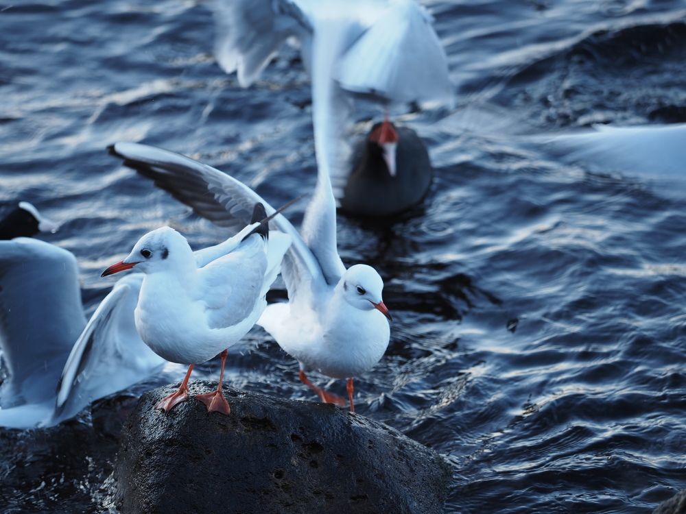 Photograph by Сергей Борисов