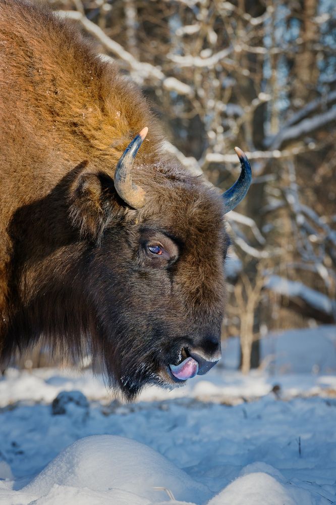 Photograph by Низовцева Елена