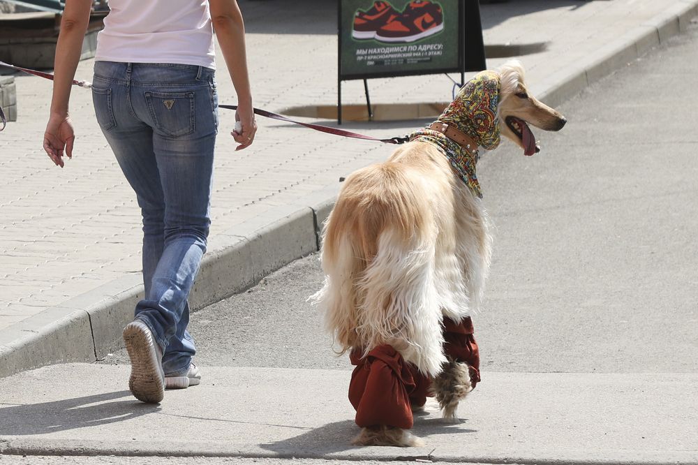 Photograph by Олег Укладов