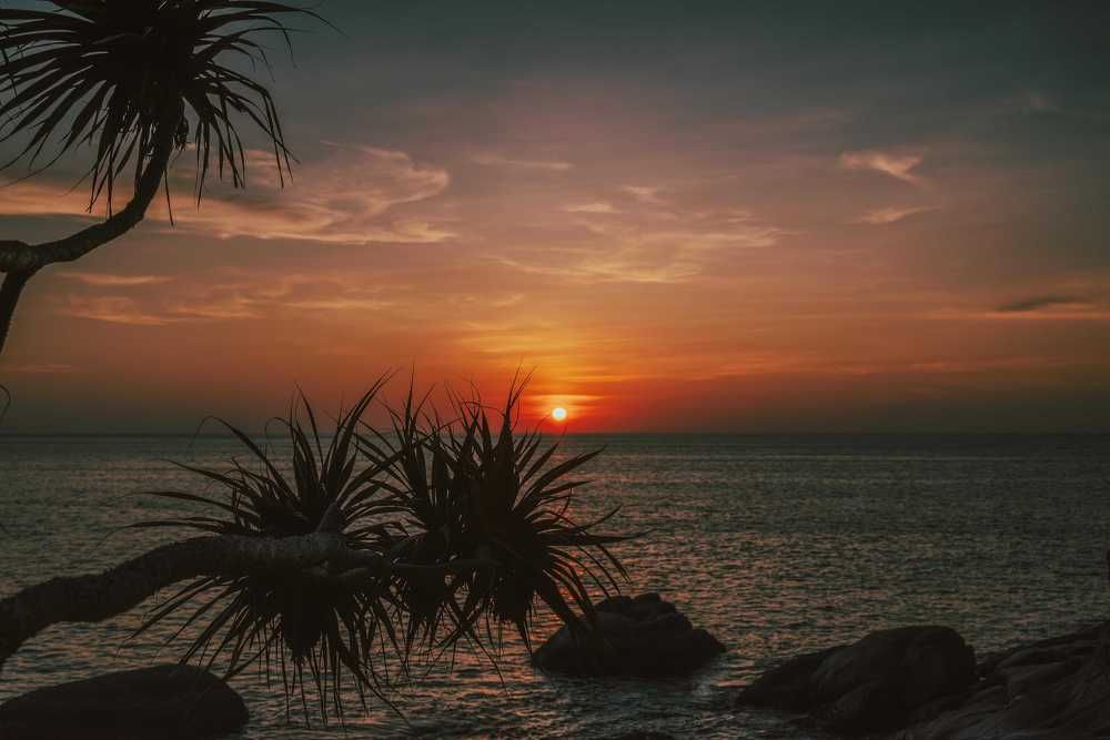 Photograph by Черняев Даниил