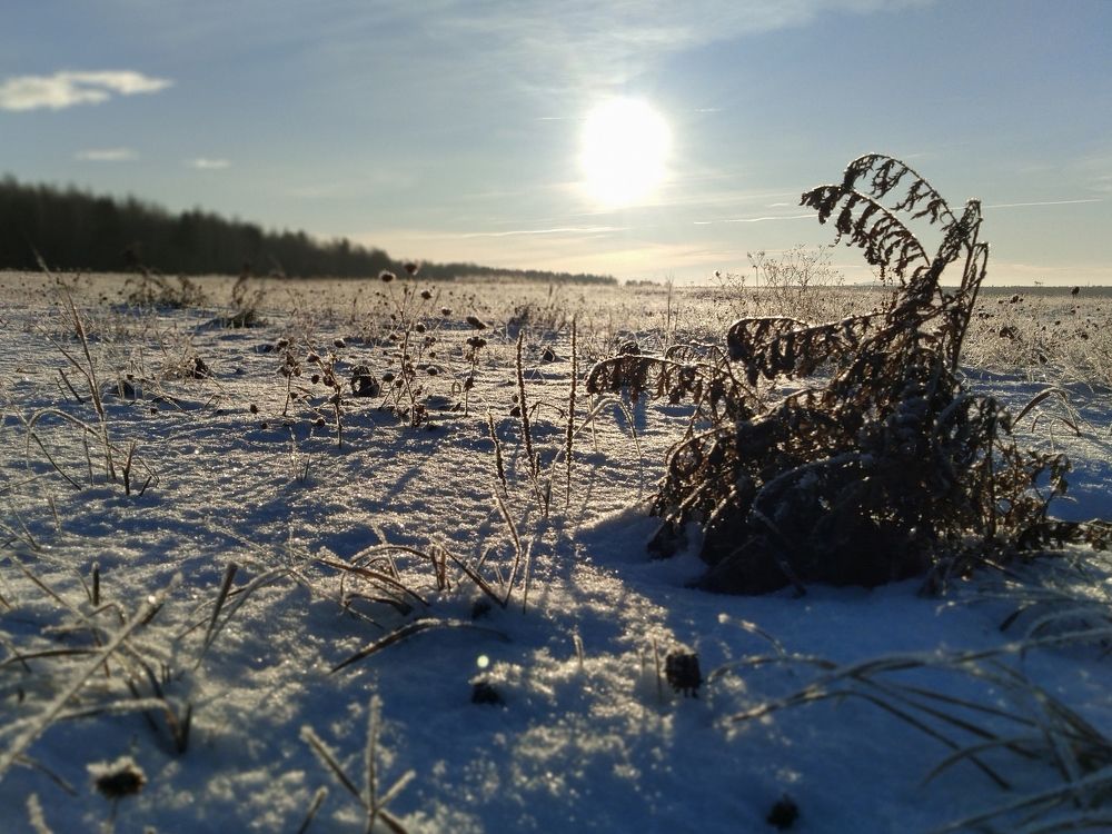 Photograph by Анастасия Мантурова