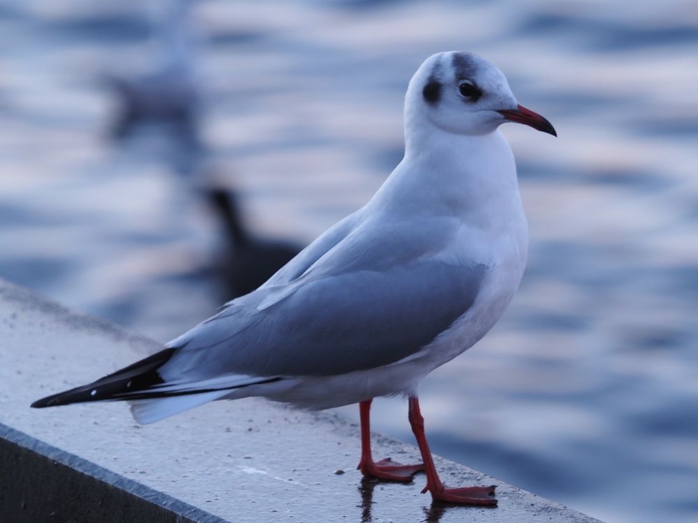 Photograph by Сергей Борисов