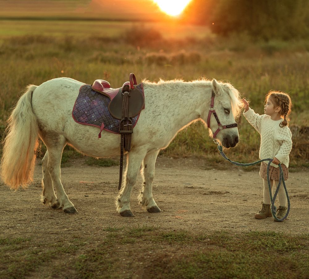 Фотография автора Анастасия Лисовская