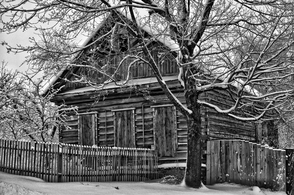 Фотография автора Olga Belikova