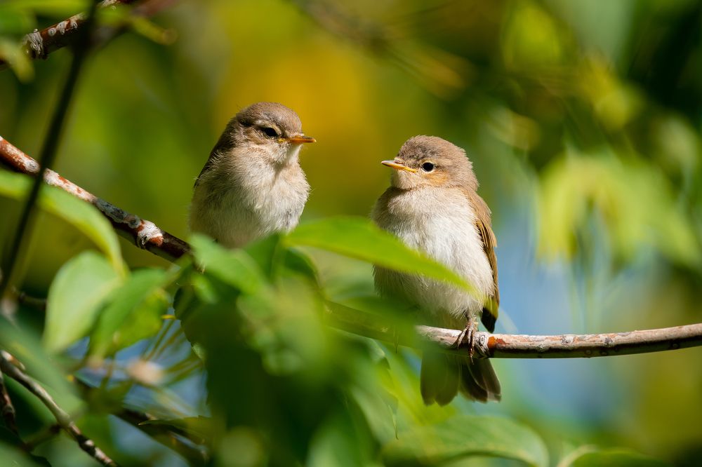 Photograph by Сергей Лебедев