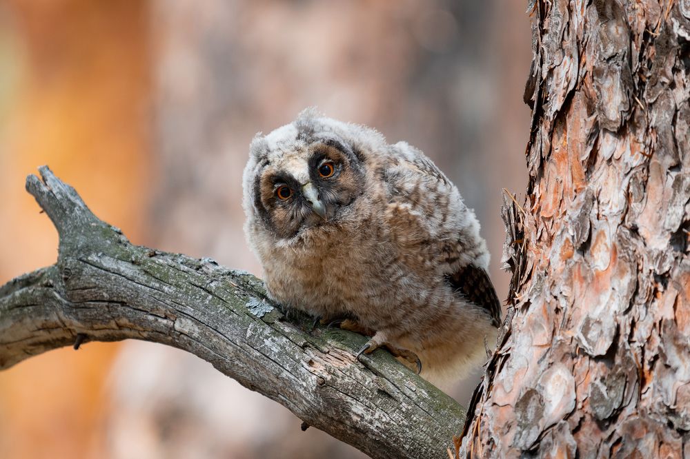 Photograph by Сергей Лебедев