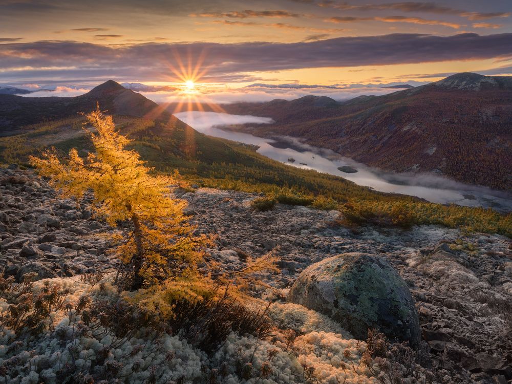 Фотография автора Dmitry Medyancev