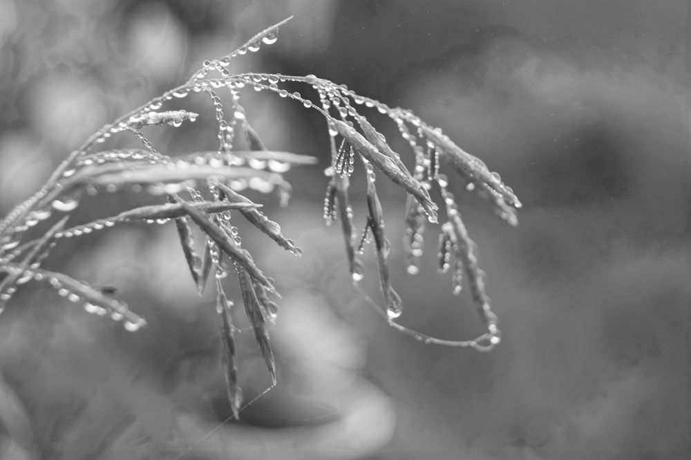 Photograph by Маргарита