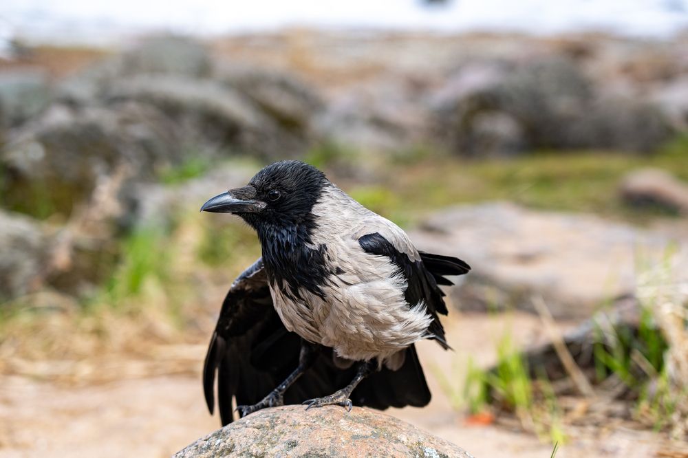 Photograph by Галина Аскольдовна Луковникова