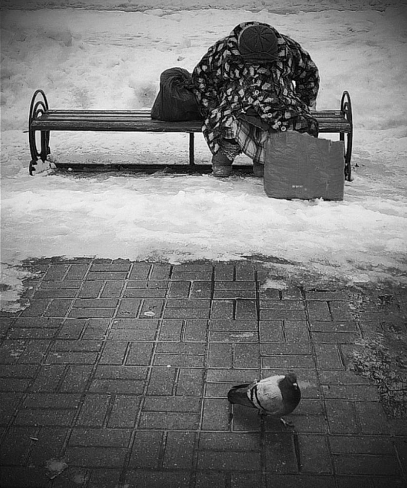 Photograph by Роман Новиков