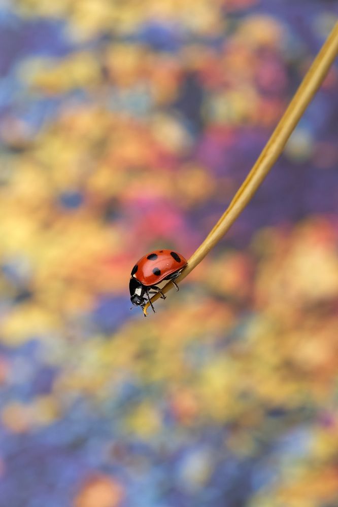 Photograph by boutaiba naoui