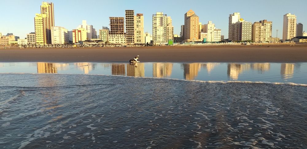 Photo #10415751