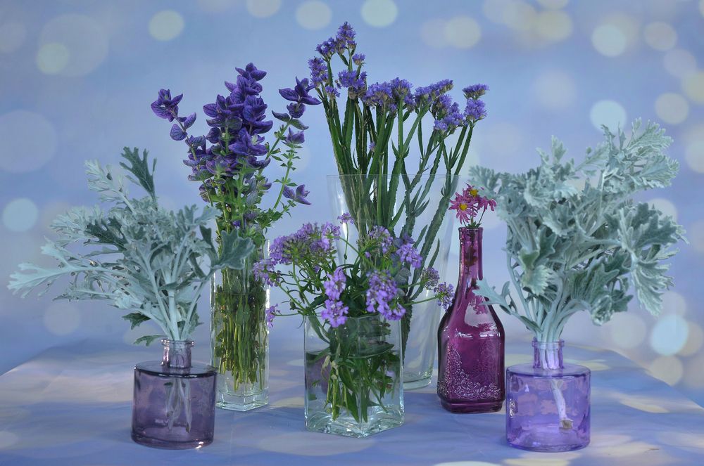 Photograph by Елена Куртеева