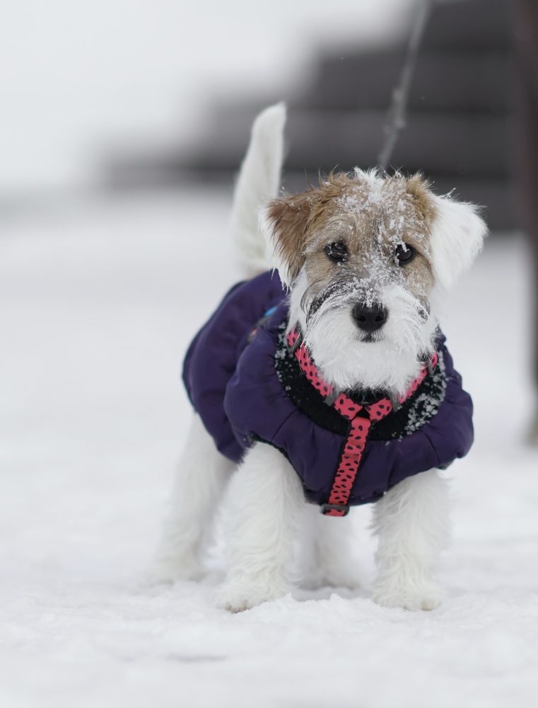 Photograph by Ольга Рачилова