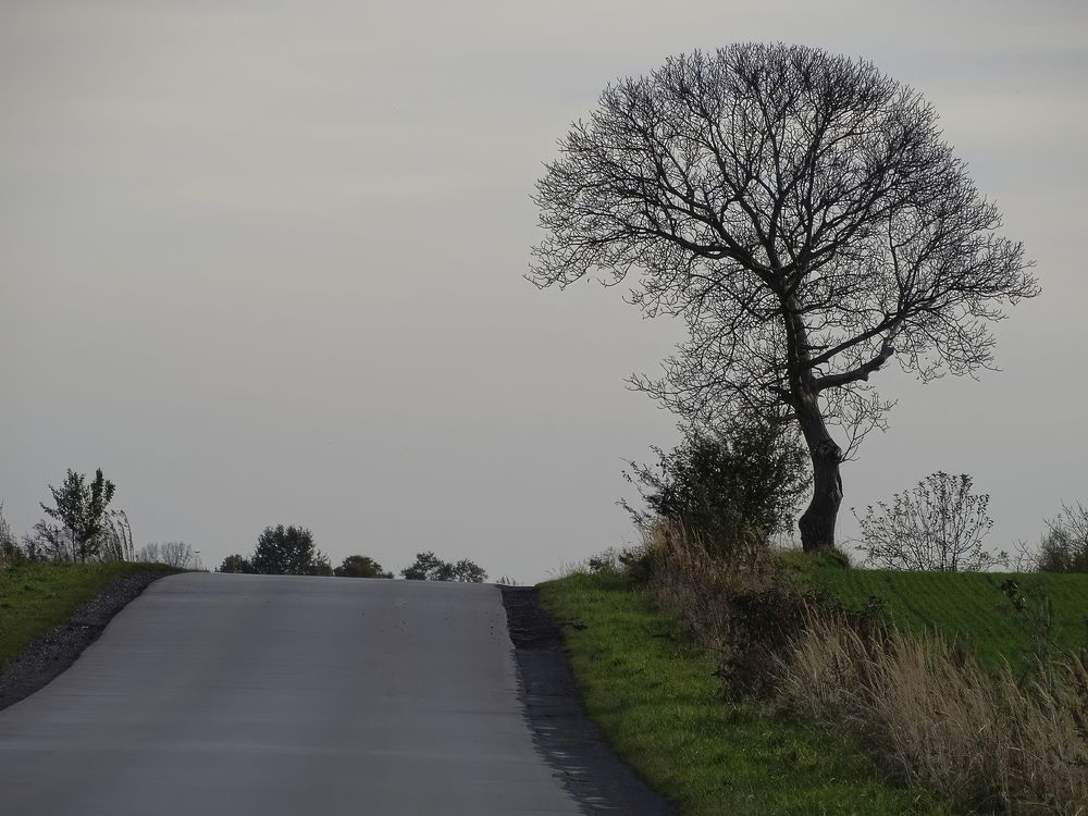 Photograph by Piotr Holinej