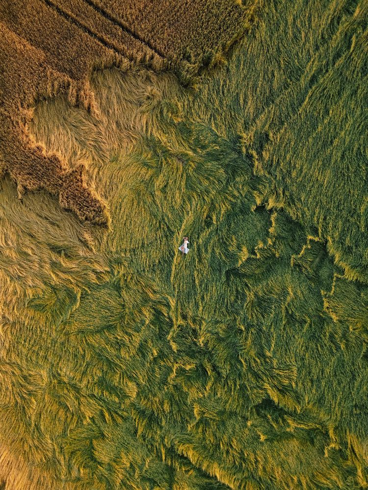 Photograph by Анна Рыжкова