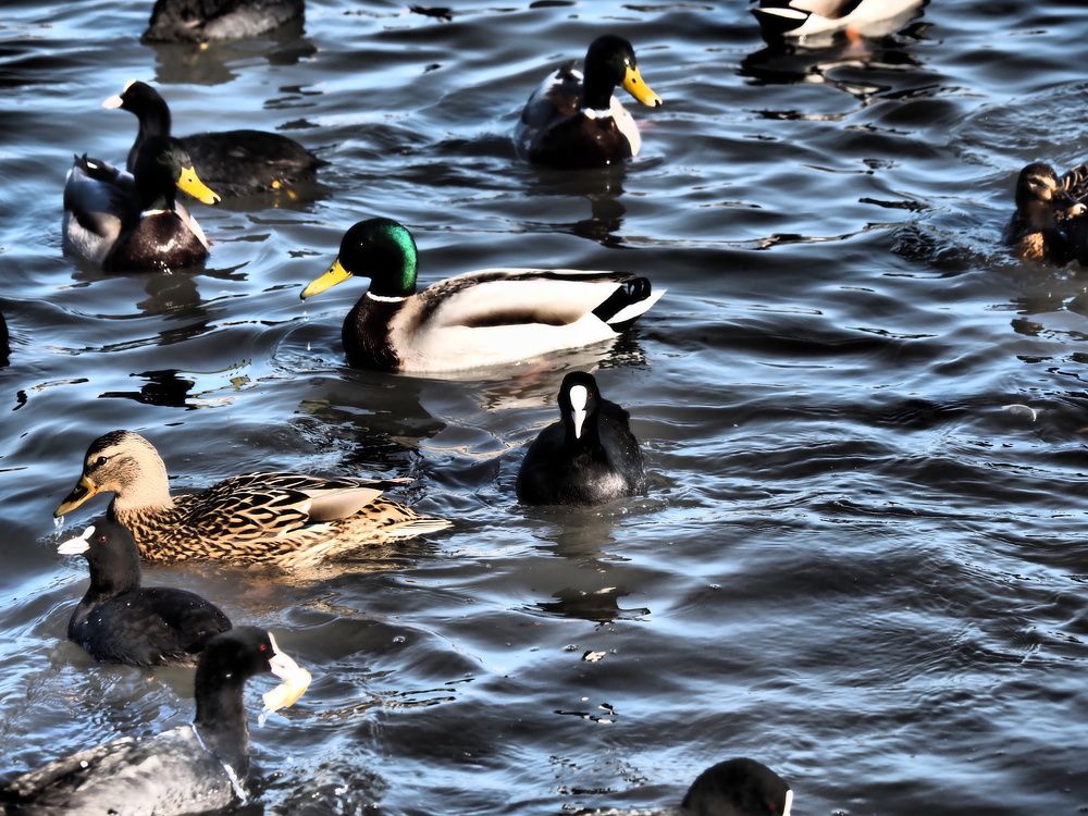 Photograph by Сергей Борисов