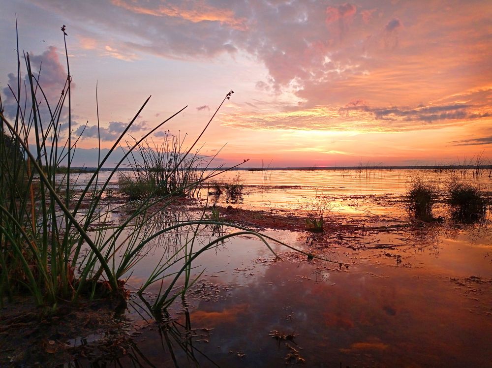 Фотография автора Кухта Мария