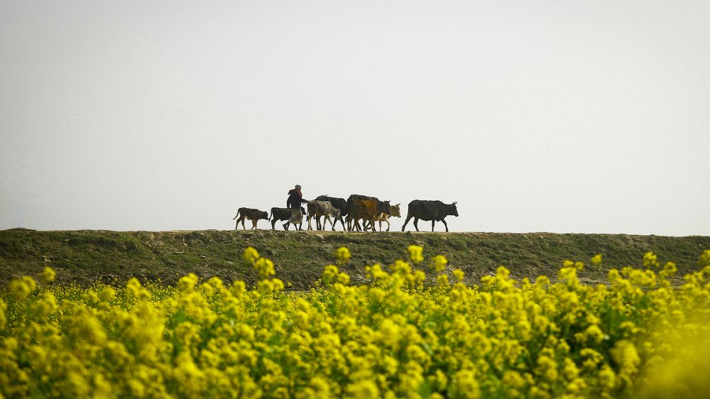 Photograph by Rahat Ahmed