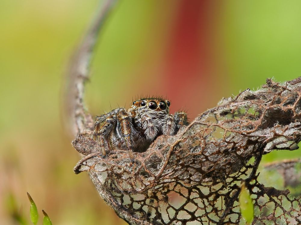 Photograph by Максим Кошелев