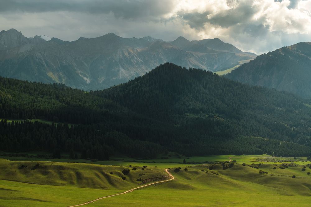 Photograph by Дильмурад Ахмедов