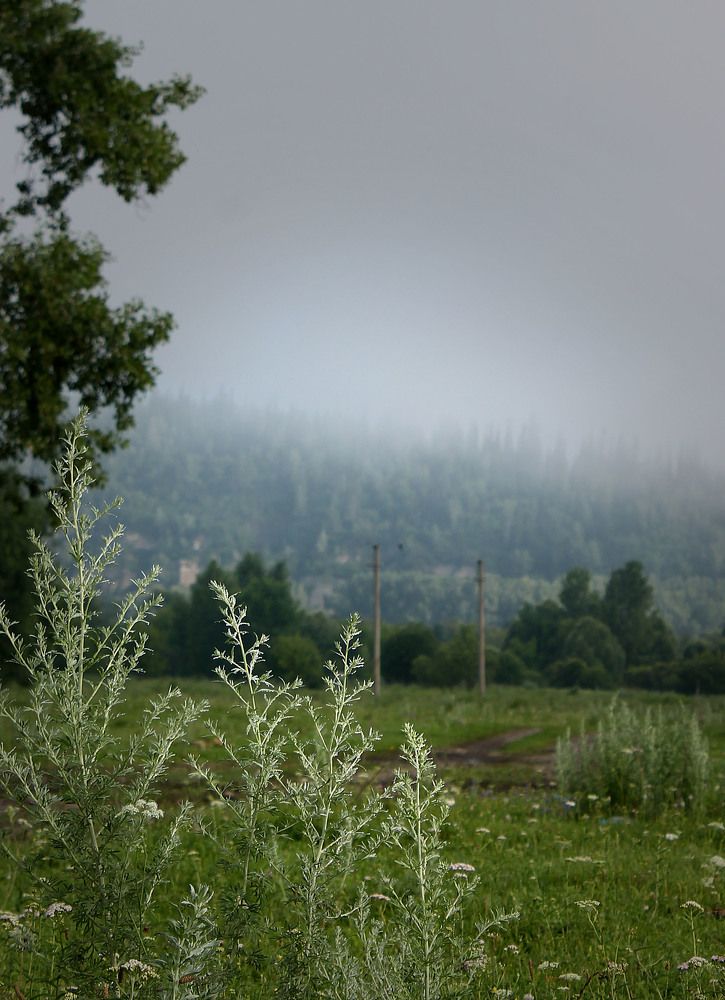 Фотография автора Любовь Харина