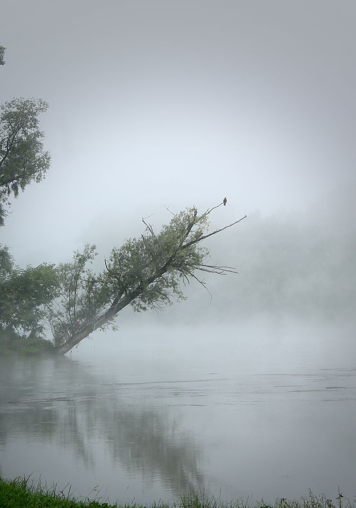 Фотография автора Любовь Харина