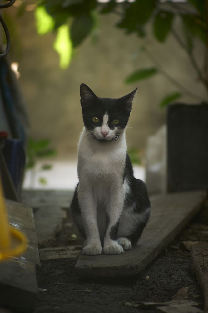 Photograph by Diego Garcia