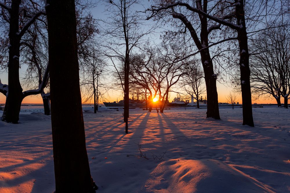Photograph by Дмитрий Макинский